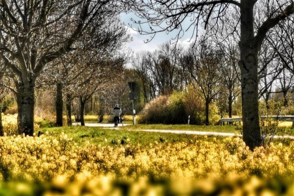 Apartmentvermittlung Mehr Als Meer - Objekt 7 Найндорф Екстериор снимка